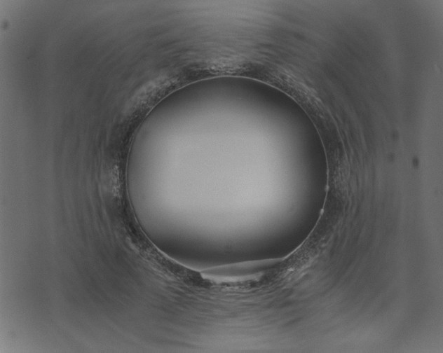 X0000073900689200608180959