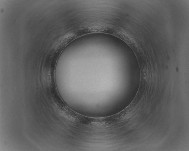 X0000073900690200608180959