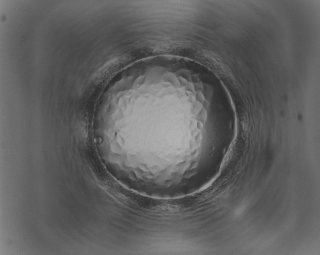 X0000073900691200608180959