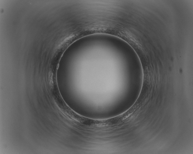 X0000073900692200608180959