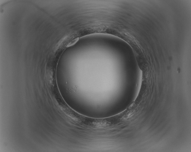 X0000073900693200608180959