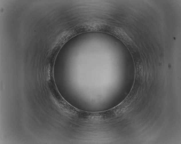 X0000073900694200608180959