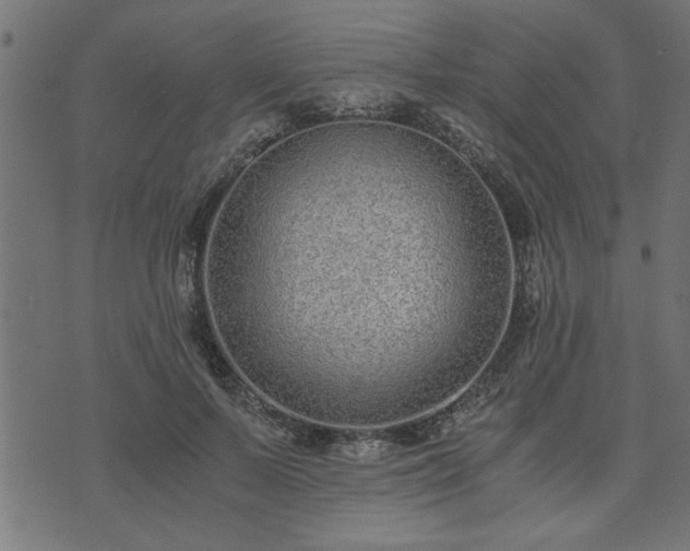 X0000073900695200608180959