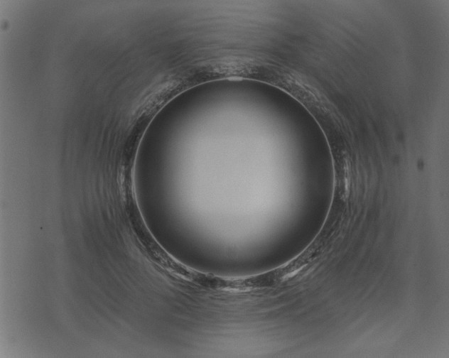 X0000073900696200608180959