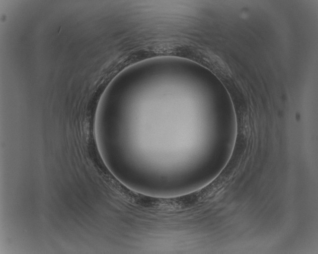 X0000073900697200608180959