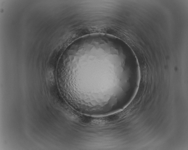 X0000073900699200608180959