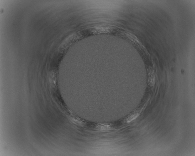 X0000073900701200608180959