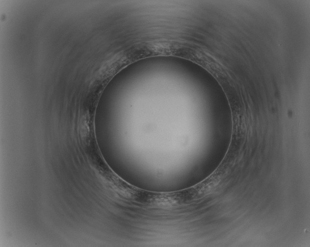 X0000073900702200608180959