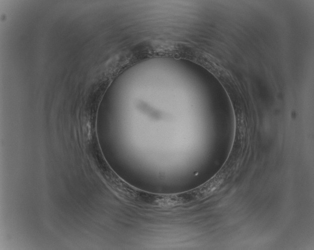 X0000073900703200608180959