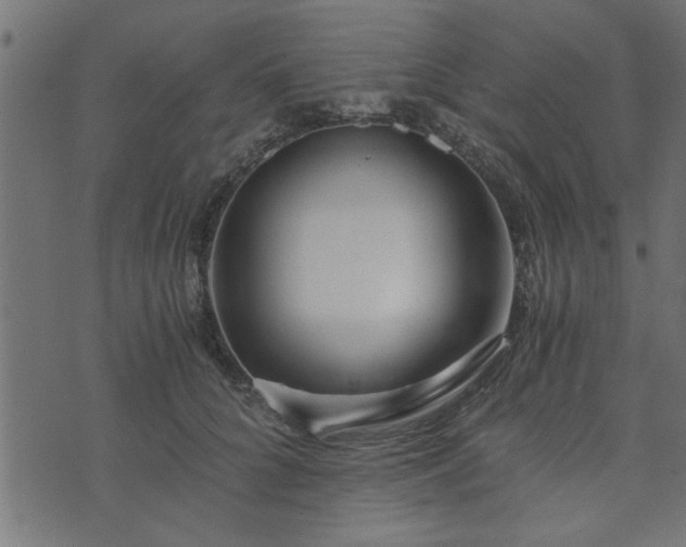 X0000073900704200608180959