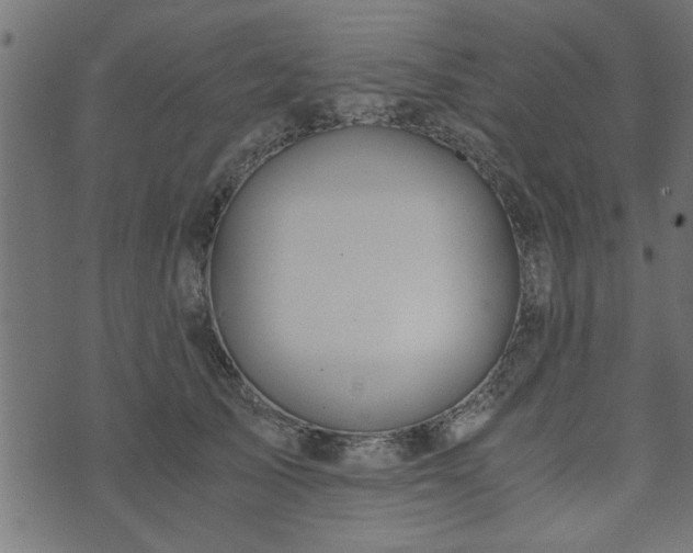 X0000073900705200608180959