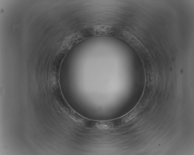 X0000073900706200608180959