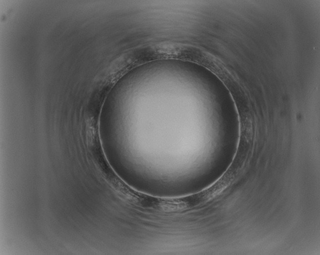 X0000073900707200608180959