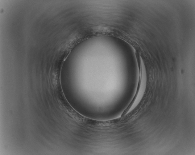 X0000073900708200608180959