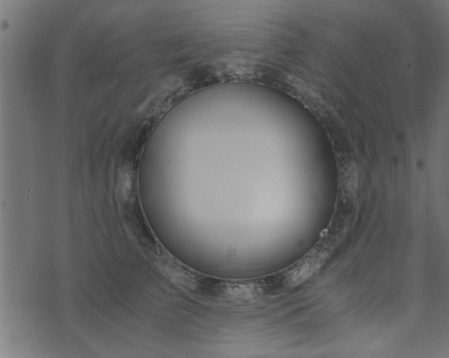 X0000073900709200608180959