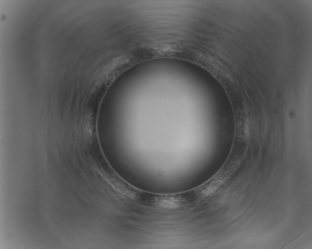 X0000073900710200608180959