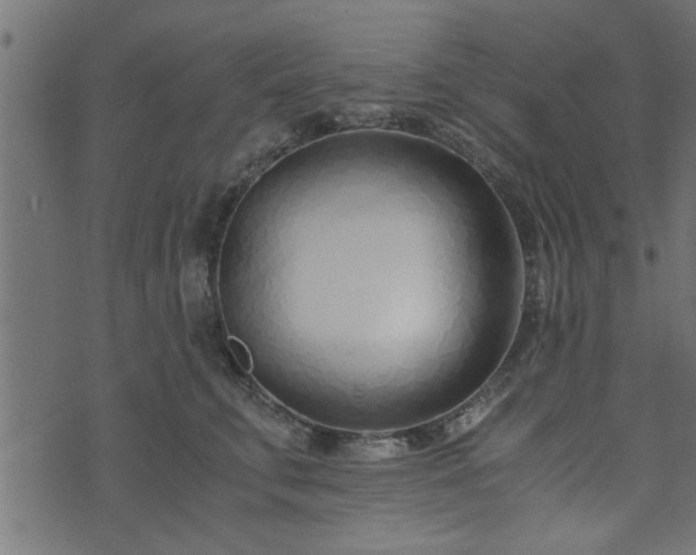 X0000073900711200608180959