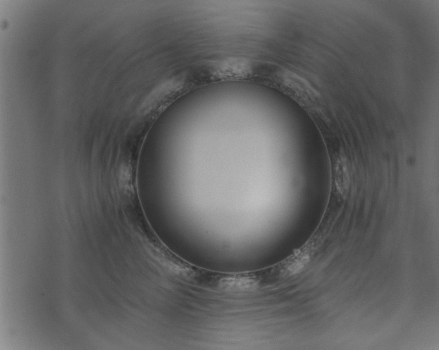 X0000073900714200608180959