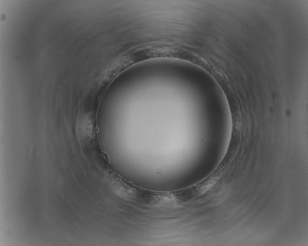 X0000073900715200608180959