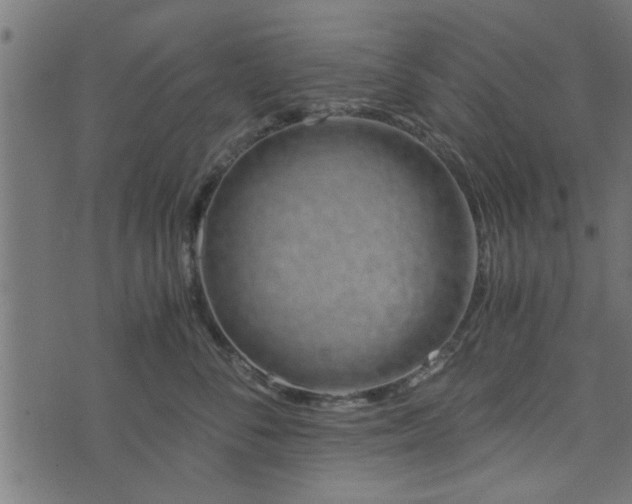 X0000073900716200608180959