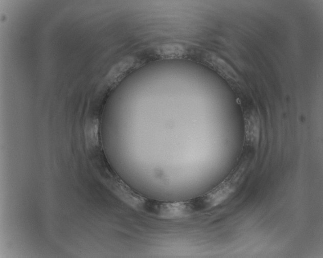 X0000073900717200608180959