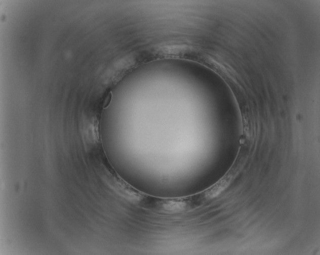 X0000073900718200608180959