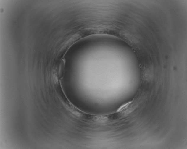 X0000073900719200608180959