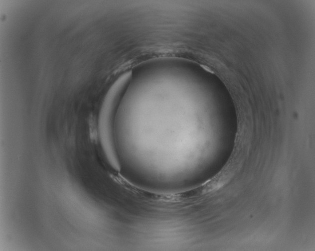 X0000073900720200608180959