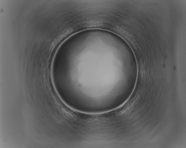 X0000073900721200608180958