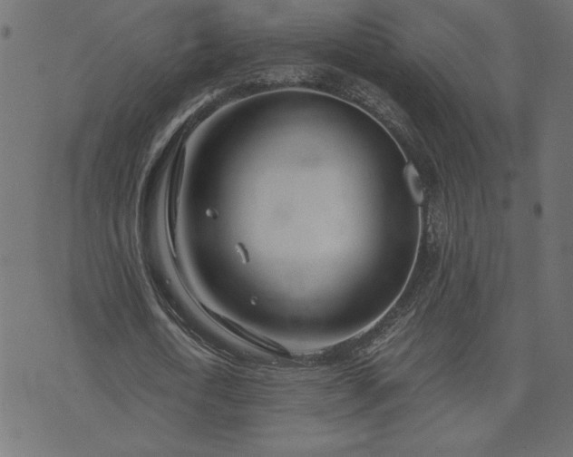 X0000073900722200608180958