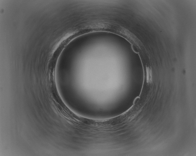 X0000073900723200608180958