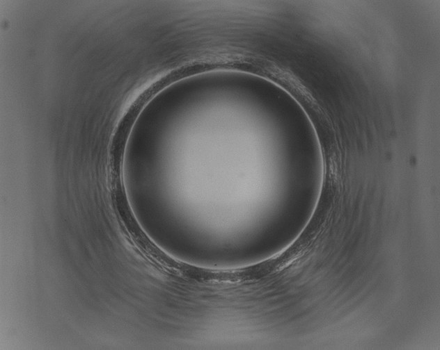 X0000073900724200608180958