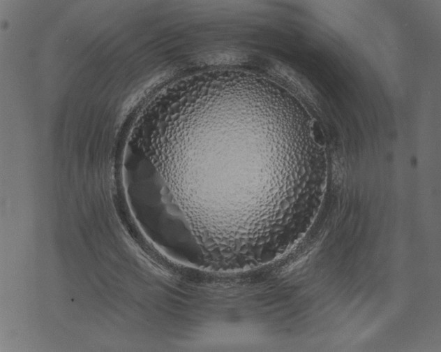 X0000073900725200608180958