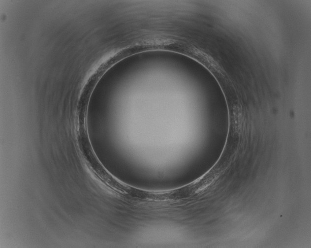 X0000073900726200608180958