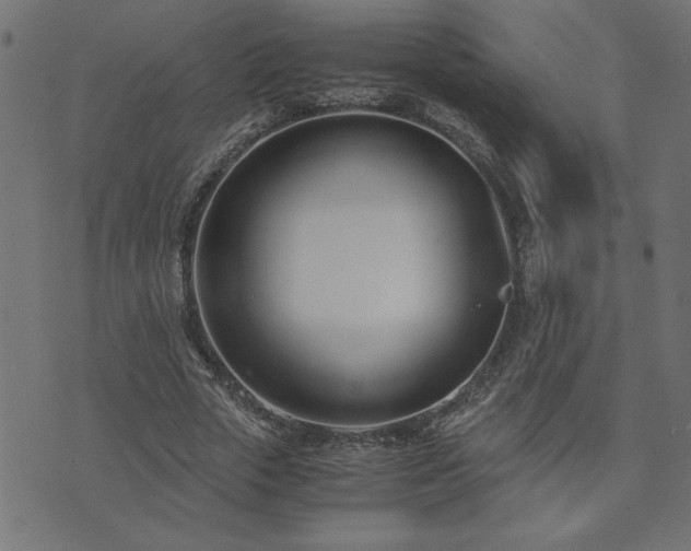 X0000073900729200608180958