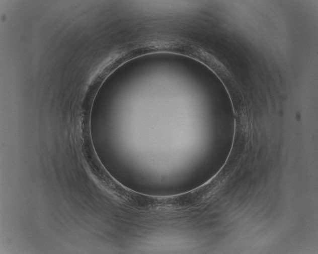 X0000073900730200608180958