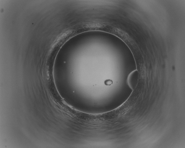 X0000073900731200608180958