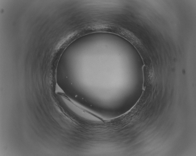 X0000073900732200608180958