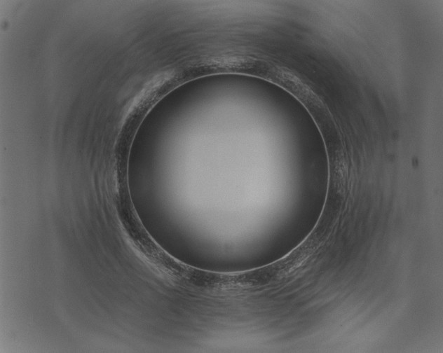 X0000073900734200608180958