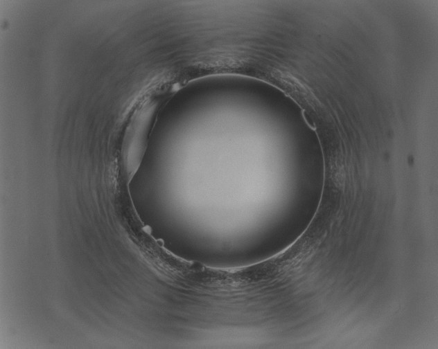 X0000073900735200608180958