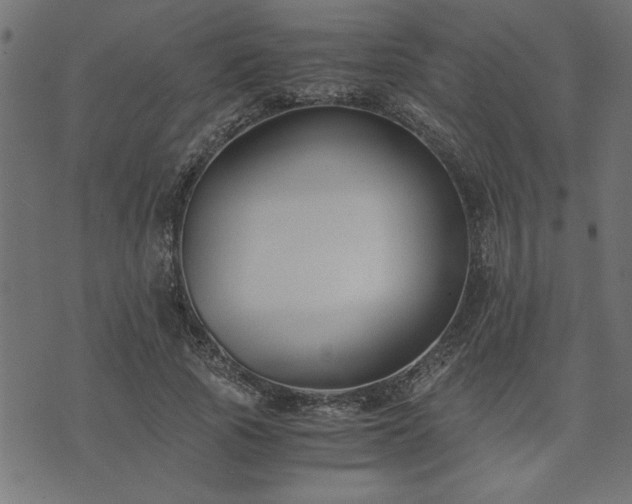 X0000073900737200608180958