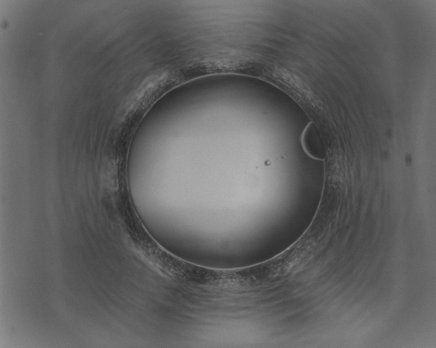 X0000073900738200608180958