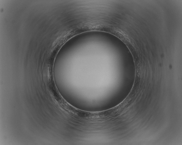 X0000073900740200608180958