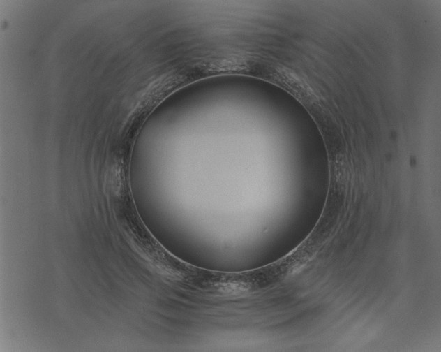 X0000073900741200608180958