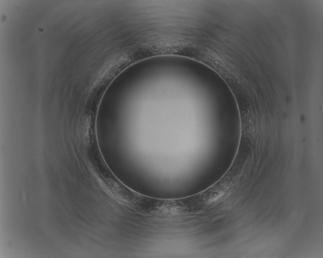 X0000073900742200608180958