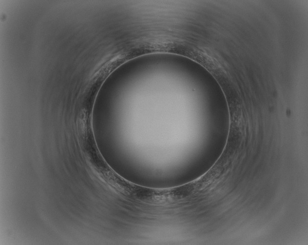 X0000073900744200608180958