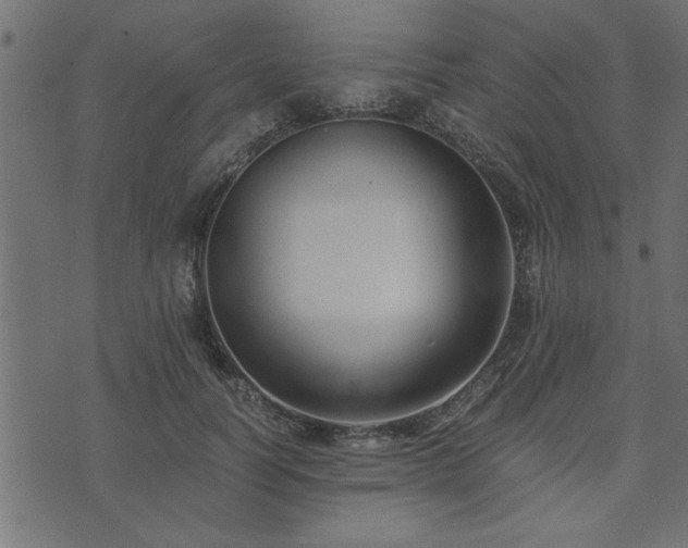 X0000073900746200608180958