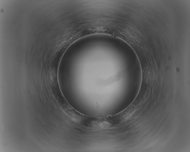 X0000073900747200608180958