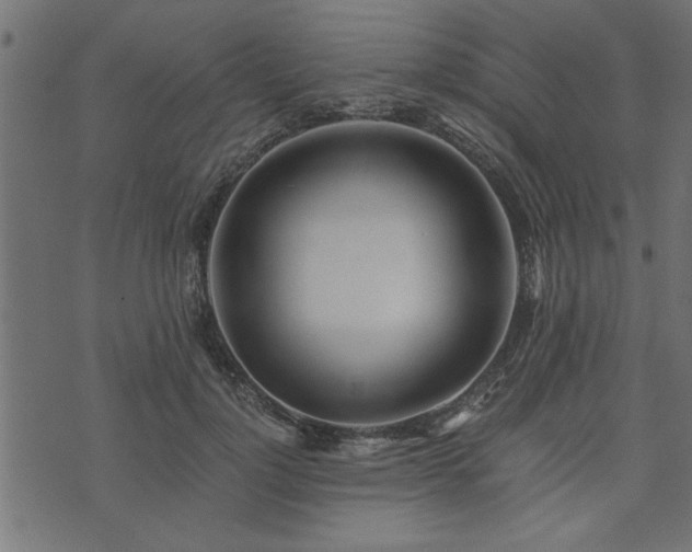 X0000073900748200608180958