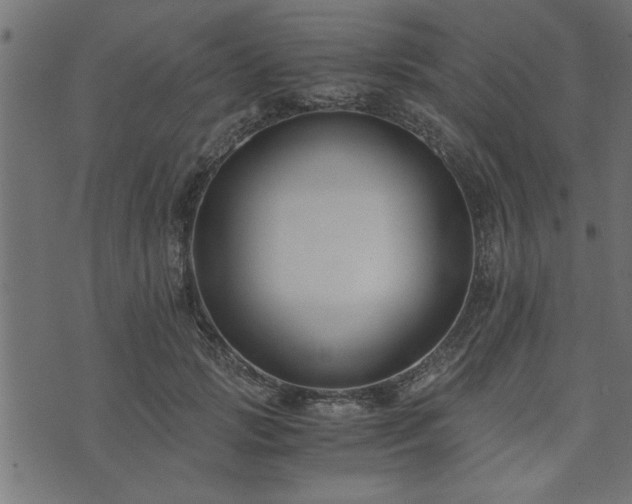 X0000073900749200608180958